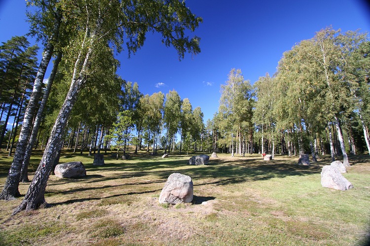 Click for the gallery page to add comments and vote (PID:42410) Blomsholm stone circle