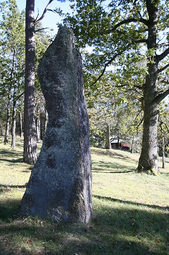 Blomsholm standing stones