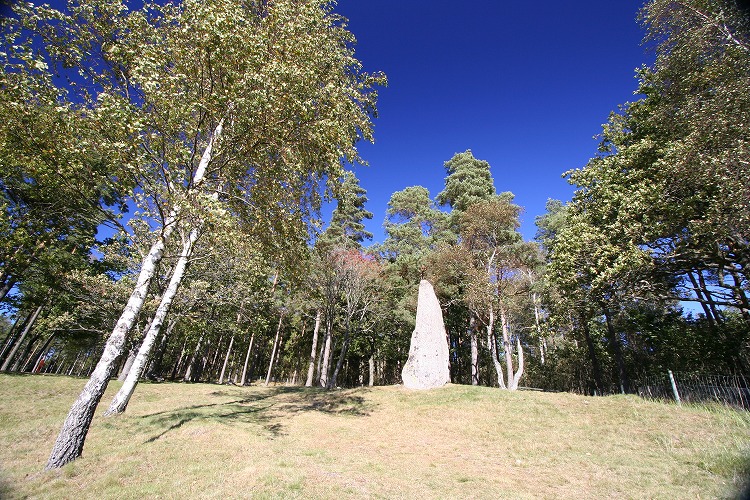Click for the gallery page to add comments and vote (PID:42408) Blomsholm standing stones