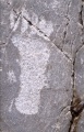 Järrestad - PID:219837