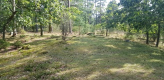Vitlycke gravfelt