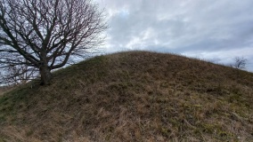 Tofthög