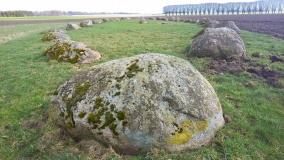 Stenhed