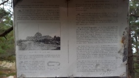 Tanumshede Gravröse (1)