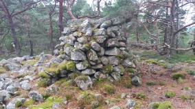 Tanumshede Gravröse (1)