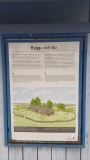 Replösa gravfält