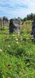 Årby Gravfält