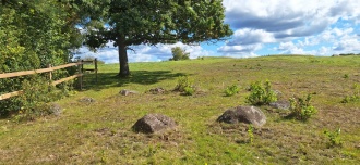 Grimeton