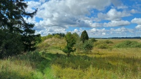Grimsahögen