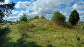 Grimsahögen