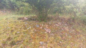 Adelsö gravfält