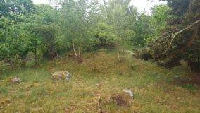 Adelsö gravfält