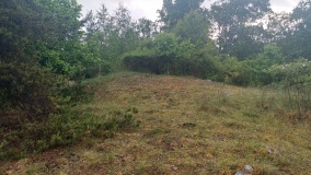 Adelsö gravfält