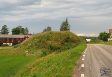 Hög 50:1