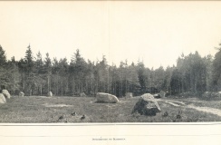 Blomsholm stone circle
