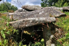 Tolarpsgraven