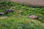 Stenstugan (Stone Cottage)