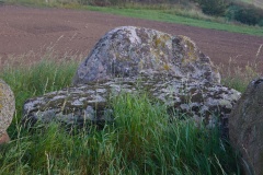 Totaskulle