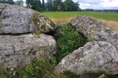 Vårkulma 14:2