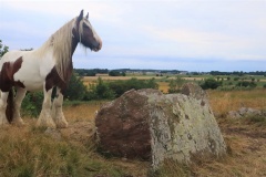 Klastorpsdösen