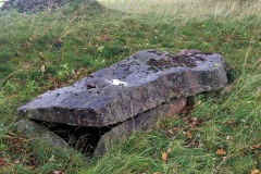 Bostället