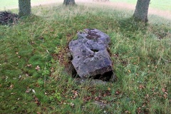 Bostället
