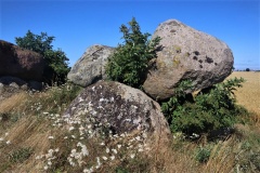 Snarringe Transitional Long Dolmen