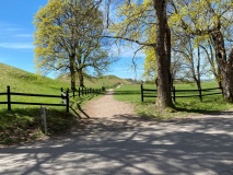 Gamla Uppsala Kungshögarna