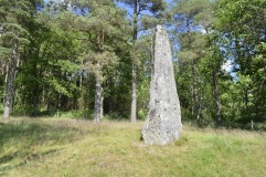 Blomsholm standing stones