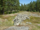 Click for full size image of Snäckedal Grävfält (PID:141750) Snäckedal Grävfält
