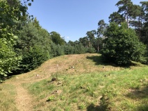 Båstad Gravfält