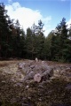 Click for full size image of Snäckedal Grävfält (PID:218838) Snäckedal Grävfält