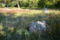 Runsa (Upplands-Väsby)