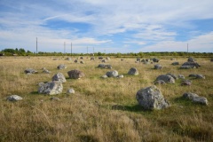 Vi Alvar