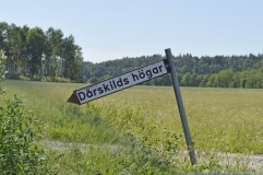 Dårskilds Högar