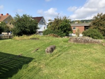 Trädgårdens Gånggrift