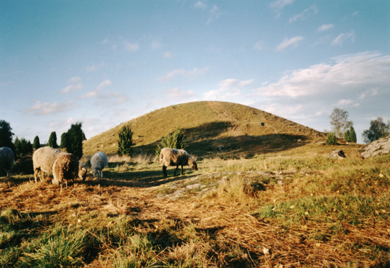 Uppsa kulle (PID:27143) Uppsa kulle