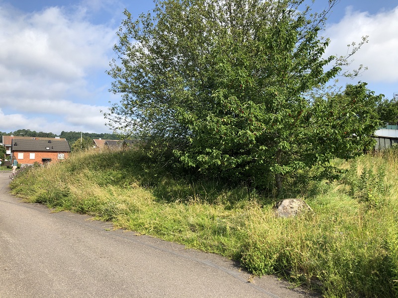 Falköping Stensättning 7