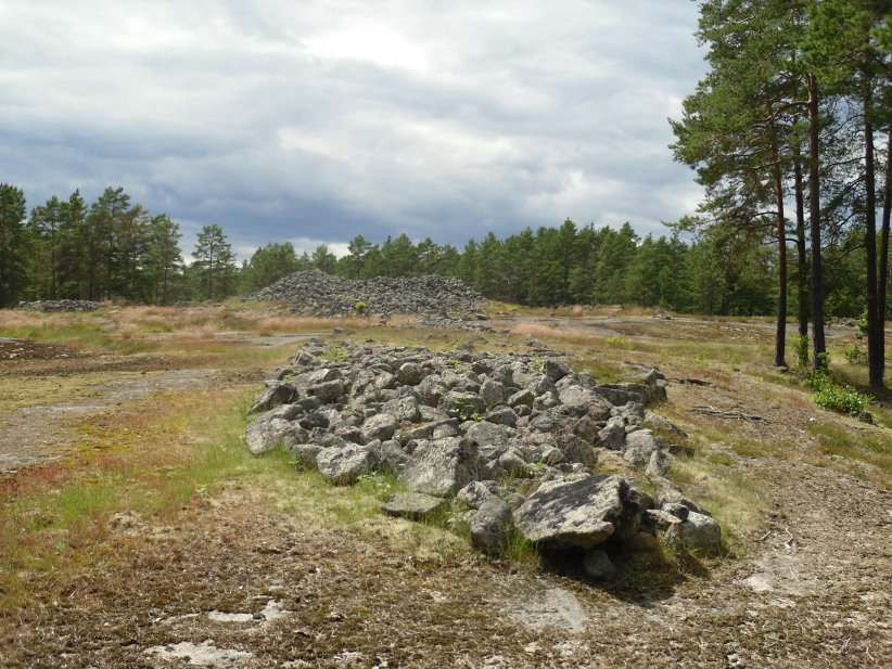 Snäckedal Grävfält (PID:141753) Snäckedal Grävfält