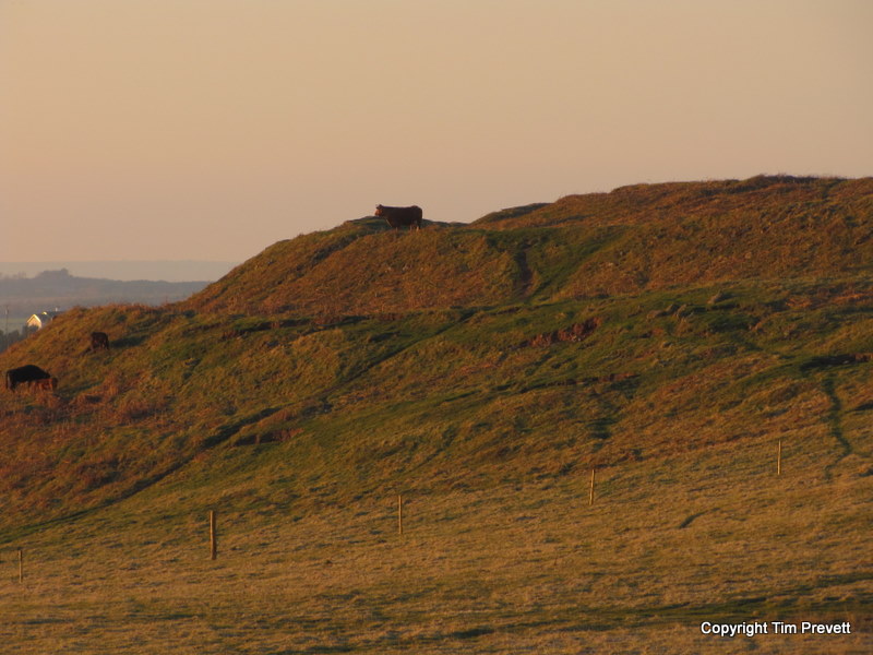 The Ringses Fort