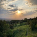 Nottingham Hill - PID:219046