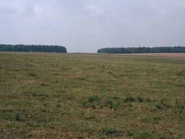 Great Cursus, Stonehenge