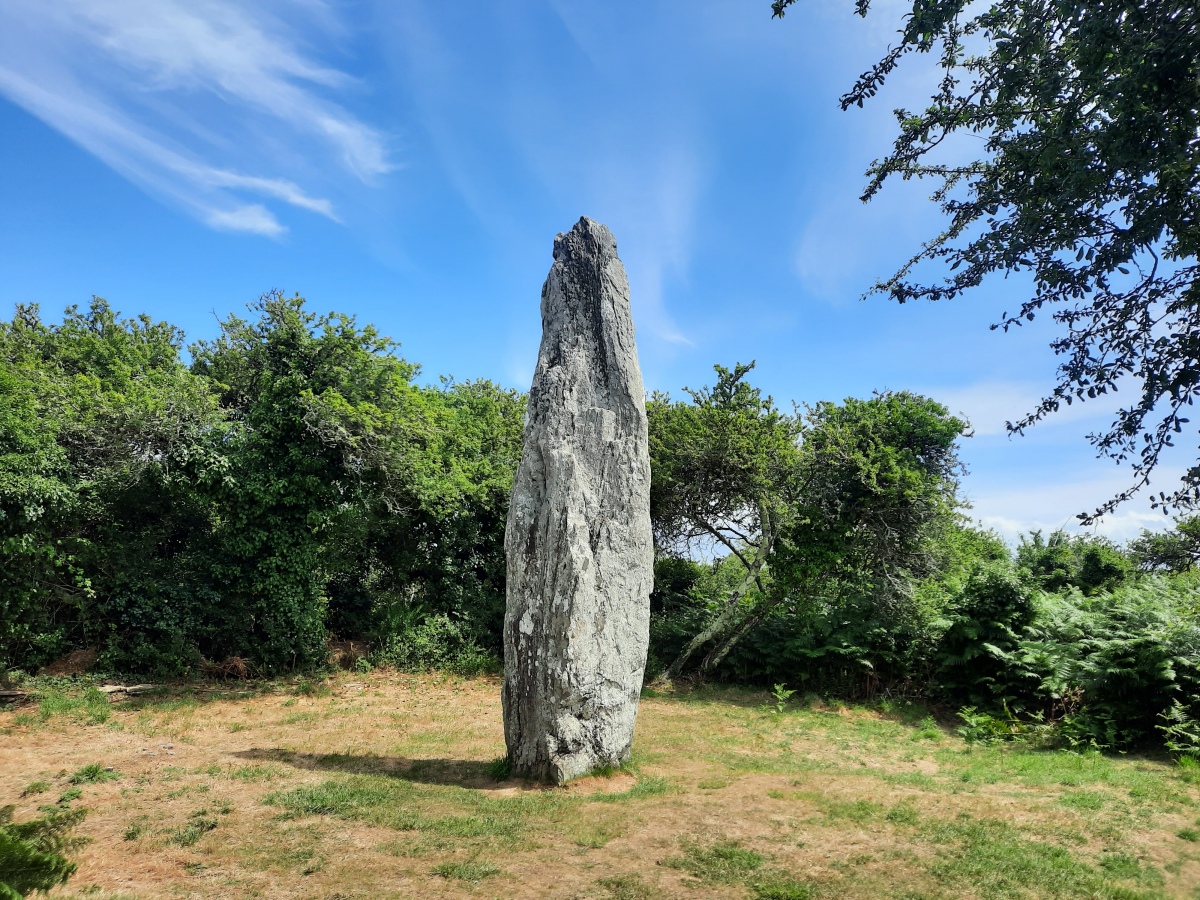 Click for the gallery page to add comments and vote (PID:243947) Menhir du Salver-er-Bed
