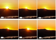 Leek Double Sunset - PID:243903 Leek Double Sunset - PID:243903