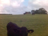 St Lythans - PID:21504