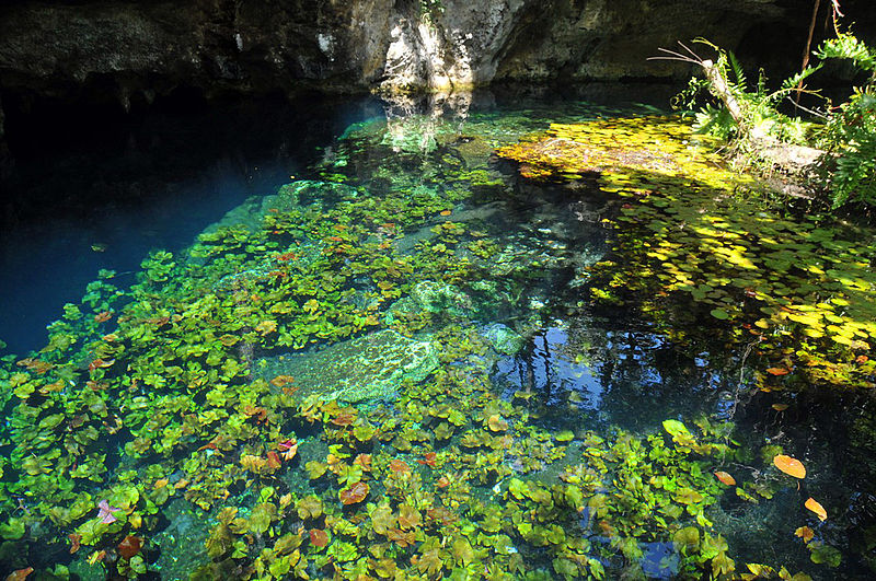 This photo is actually of the Grand Cenote, where exploration of the Sistema Sac Actun underwater caverns and the Hoyo Negro began.

Grand Cenote, Tulum
6 October 2010, 10:57
Photo by 	anjči from London, UK.
This file is licensed under the Creative Commons Attribution 2.0 Generic license.