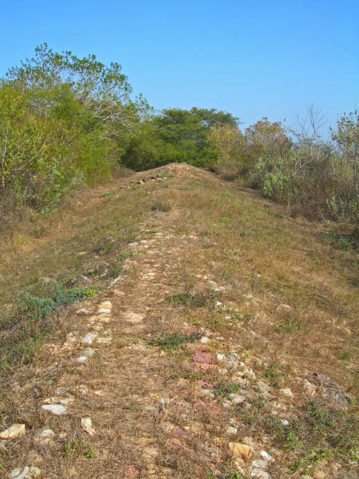 Careyeros Hill (PID:36031) Careyeros Hill