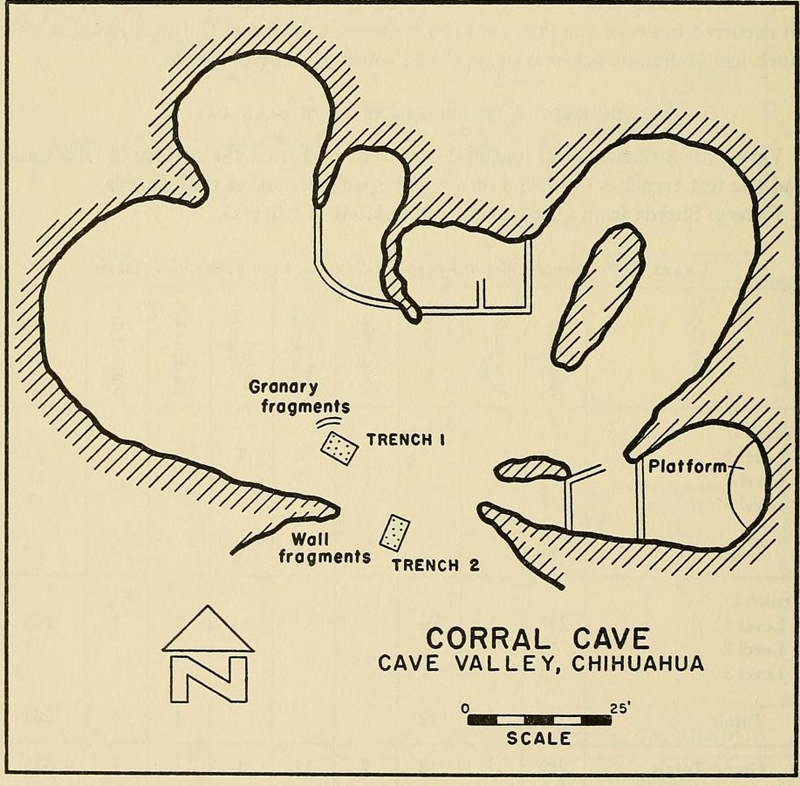Plan of Corrall Cave, from 