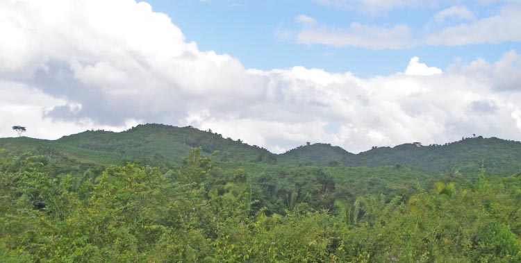 Lubaantun is nestled in these densely forested foothills of Maya Mountains.  These broadleaf forests would have greeted the founders of Lubaantun, but there would have likely been significant deforestation by the end of the Mayan Classic Period (e.g. end of ninth century AD), due to  the population exceeding its carrying capacity, when the area population reached about 20,000.  After the disappear