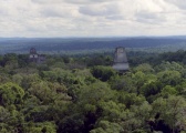 Click for full size image of Tikal (PID:156878) Tikal